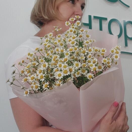 Охапка ромашек