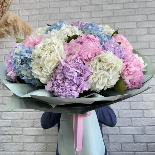 Букет из гортензий премиум класса