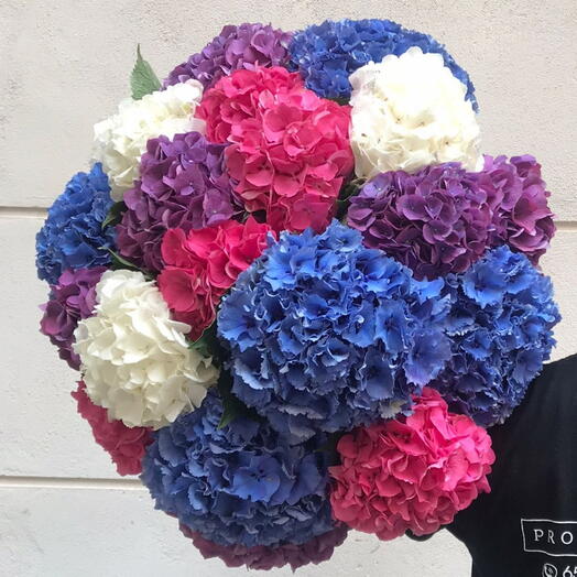 Bouquet de hortensias