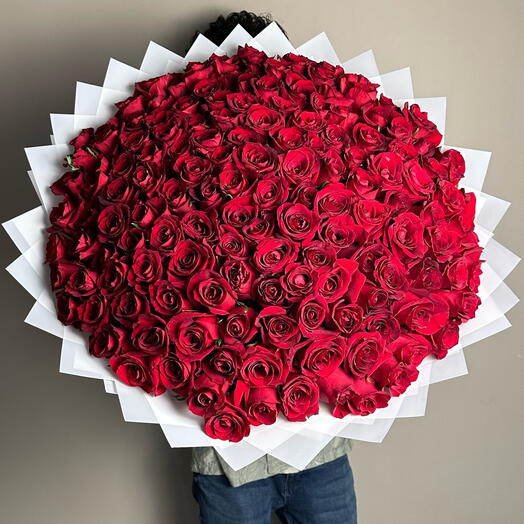 151 red roses flower bouquet