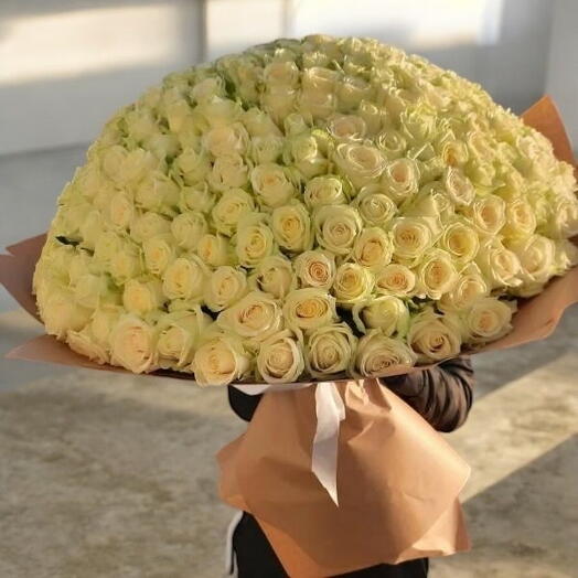 300 white roses