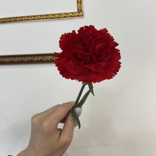 Флора Каменская