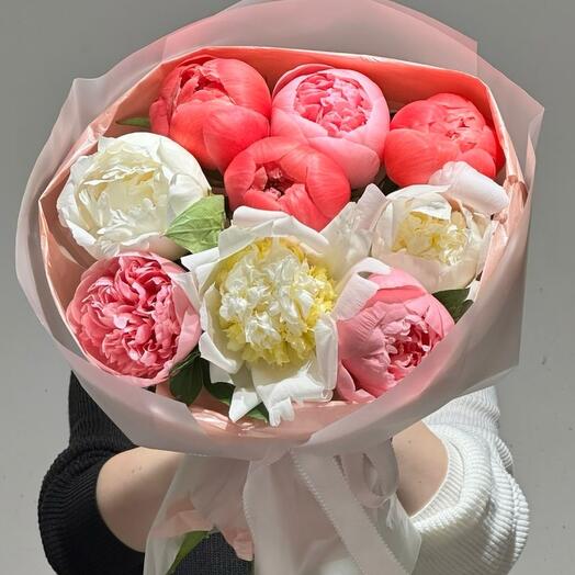 Dutch Peony