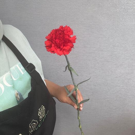KrisFlowers