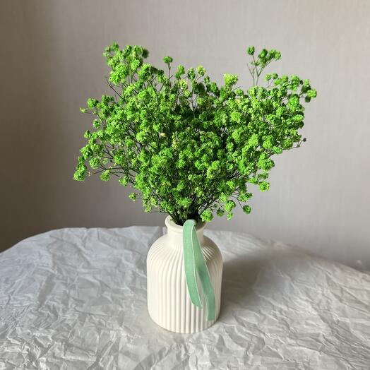 Гипсовая ваза с зеленой стабилизированной гипсофилой