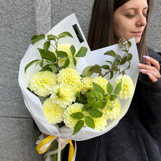 Моно букет в коробке: лимонный георгин 11 шт, малина