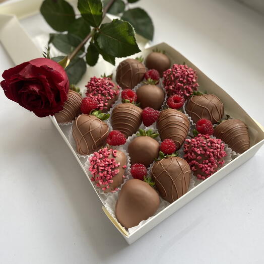 Choko mir