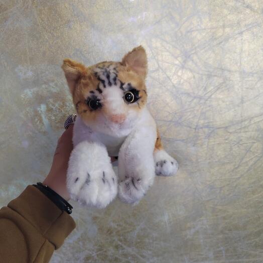 Мир Роз