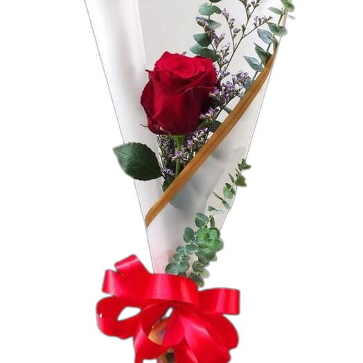 1 Adet Kırmızı Gul-Şeffaf ambalaj Kağıdına(Single Red Rose - In Transparent Wrapping Paper)