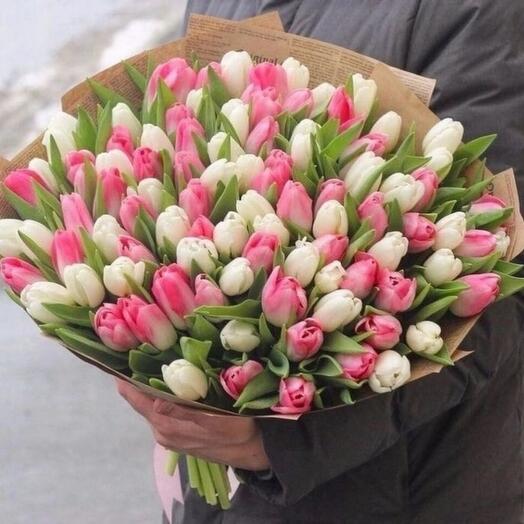 White   pink tulips