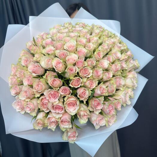 АКЦИЯ! 101 пудрово розовая Роза