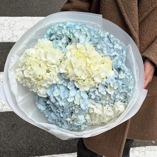 Mezcla de hortensias blancas y azules