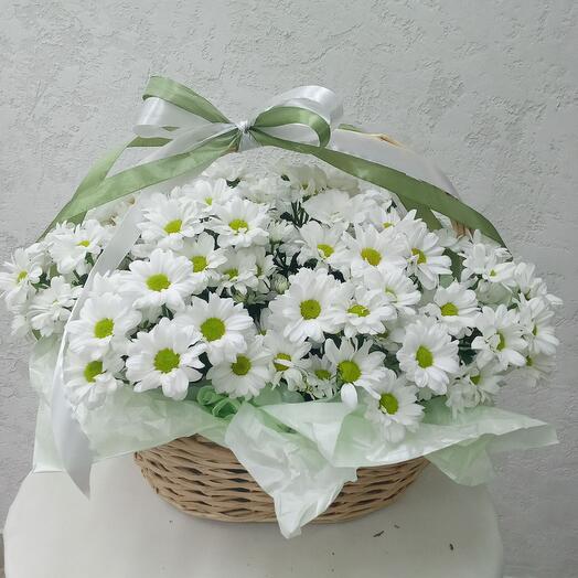 Корзина из 11 хризантем