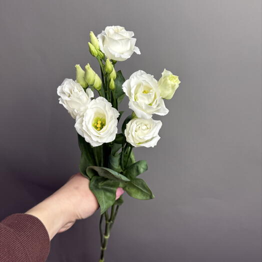 RoNi Flower Boutique