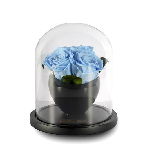 Light Blue Preserved Roses in a crystal vase Trio