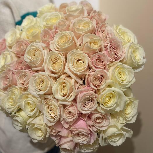 Sweet Avalanche Roses
