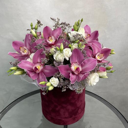 Orquídeas de lujo M