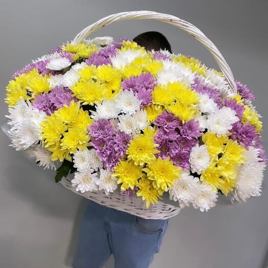 Корзина с кустовыми хризантемами