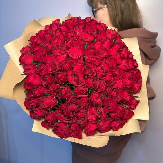 101 rosa roja, variedad "Prestige"
