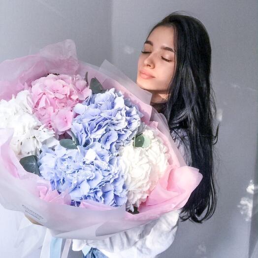 Bouquet of hydrangeas