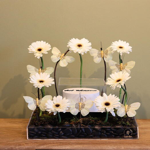 Gerbera butter fly cake tray