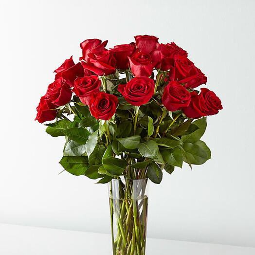 Red roses in Vase