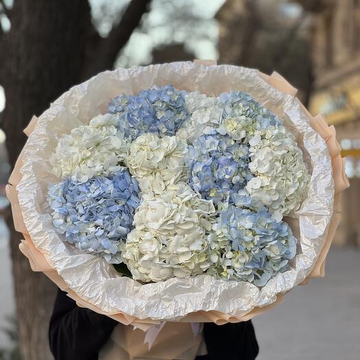 Holland Hydrangeas Bouquet N-08