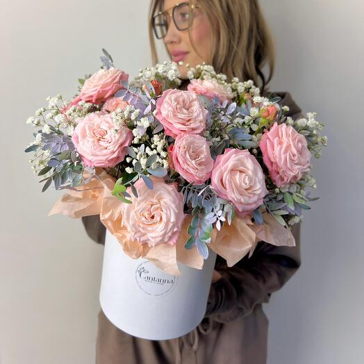 Rosa de peonía de arbusto, gypsophila en Caja