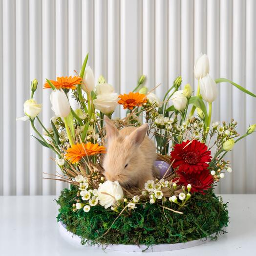 Floral bloom