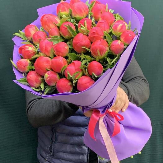 Пионы коралловые 29