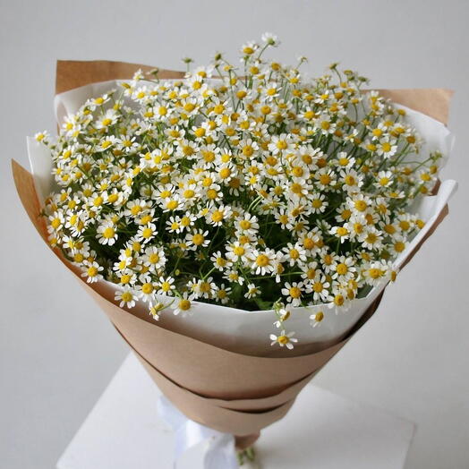 Букет ромашек