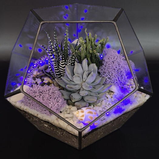 Succulenteria