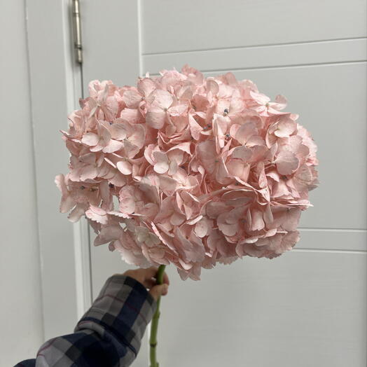 СЕНО FLOWERS