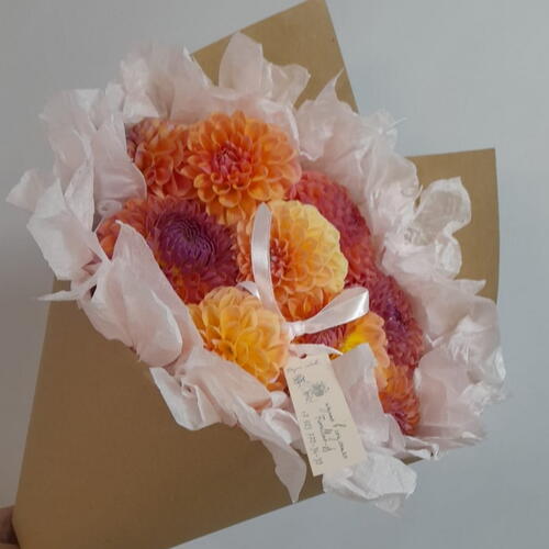 review-photo-before