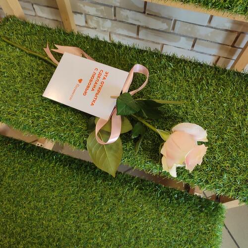review-photo-before
