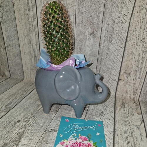review-photo-before