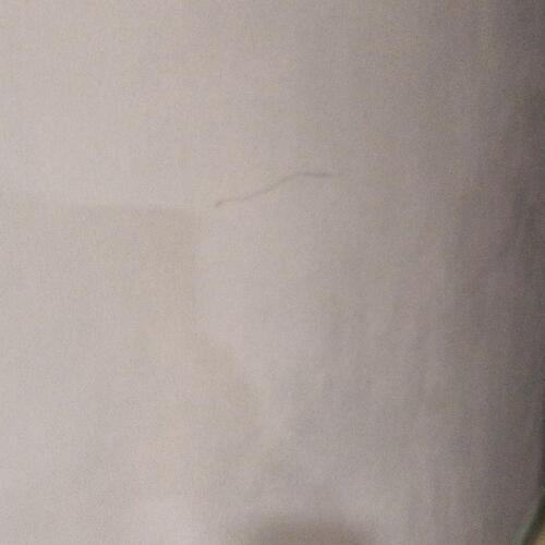 review-photo-before