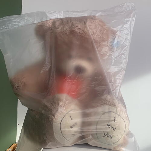review-photo-before