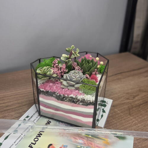 review-photo-before