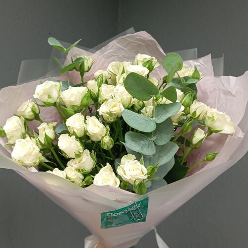review-photo-before