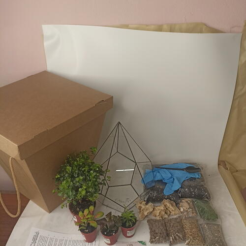 review-photo-before