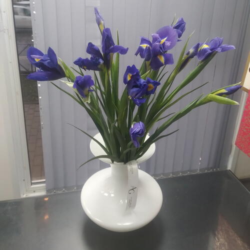 review-photo-before