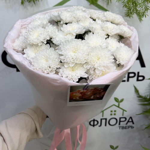 review-photo-before