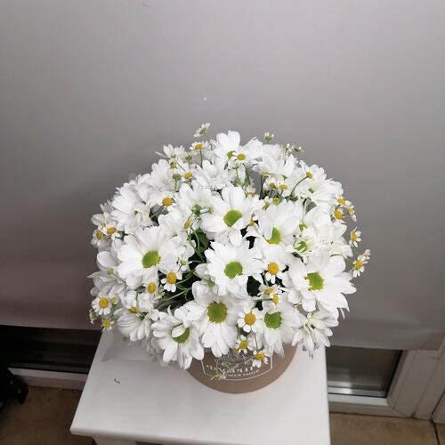 review-photo-before