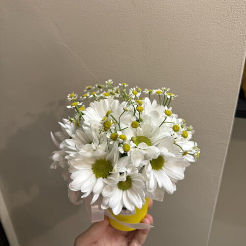 review-photo-before