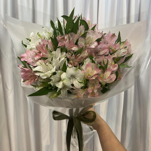 review-photo-before