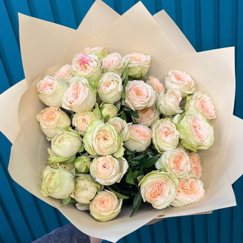 review-photo-before