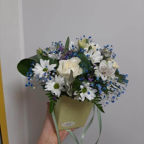 review-photo-before