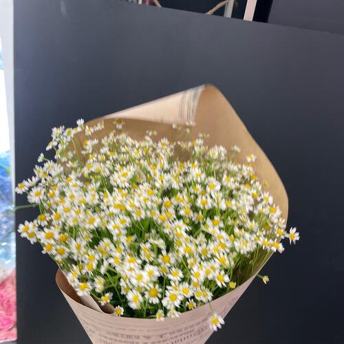 review-photo-before