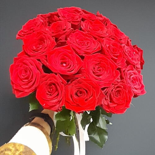 review-photo-before